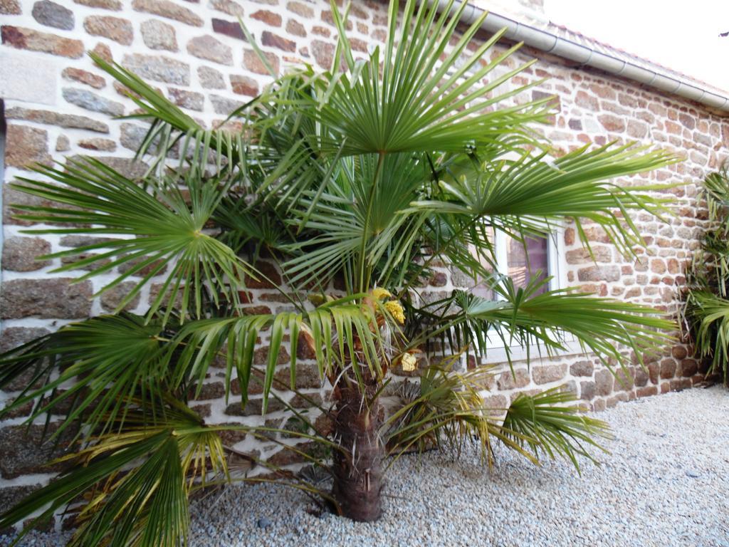 Gite Mont Saint Michel "Aucoeurdelabaie" Sains Ngoại thất bức ảnh